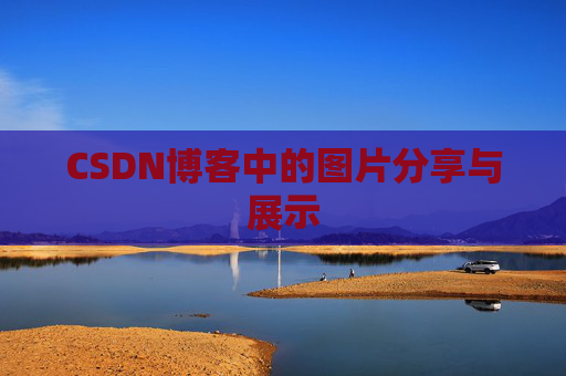 CSDN博客中的图片分享与展示